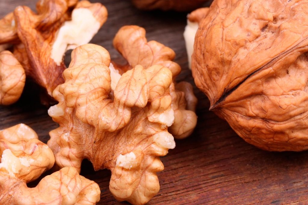 What are prebiotics?