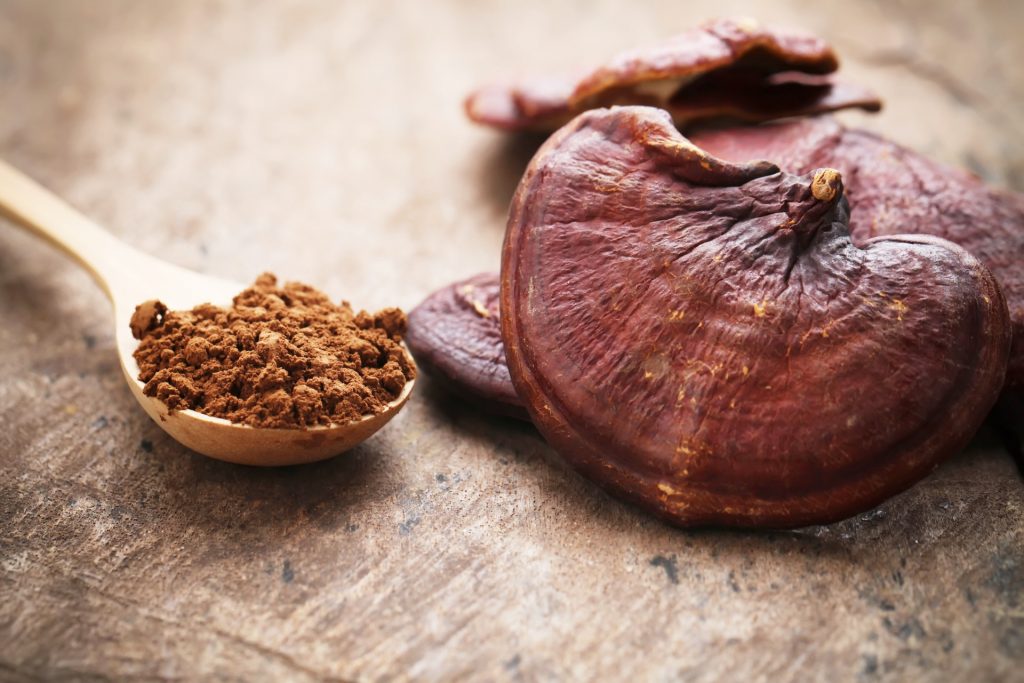 Benefits of reishi mushrooms