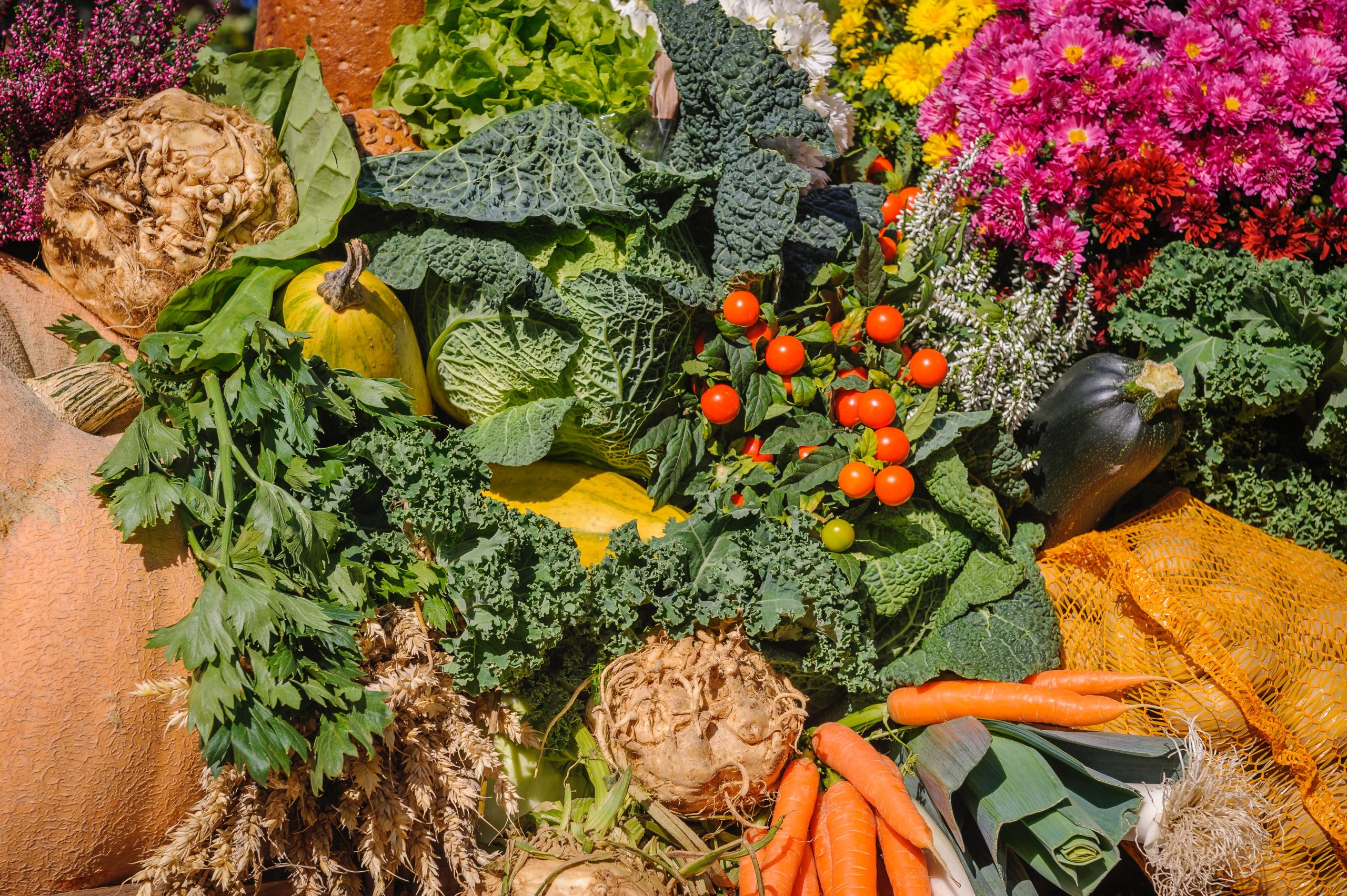 8 ways to eat organic food on a budget