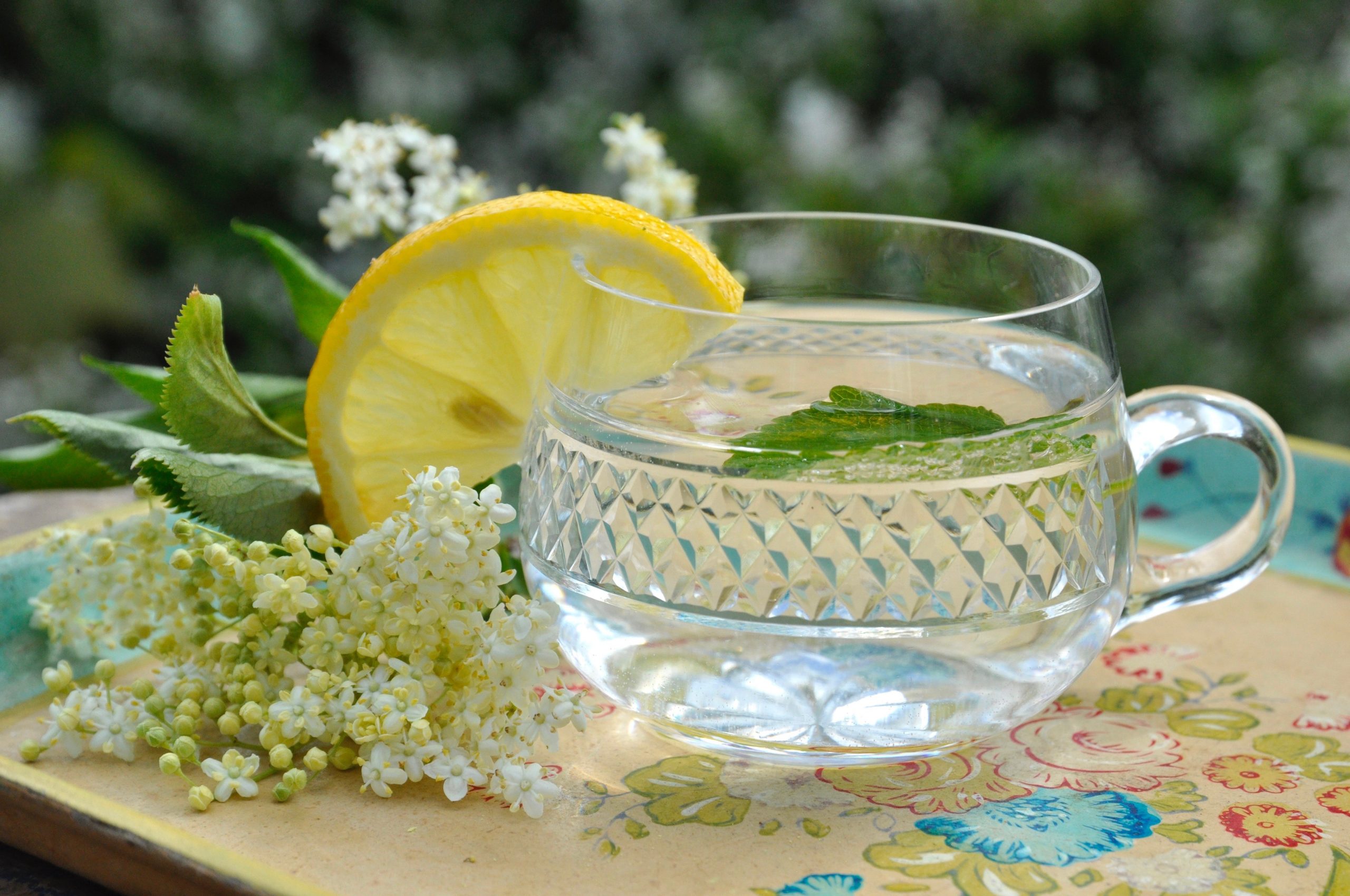 Homemade elderflower cordial recipe