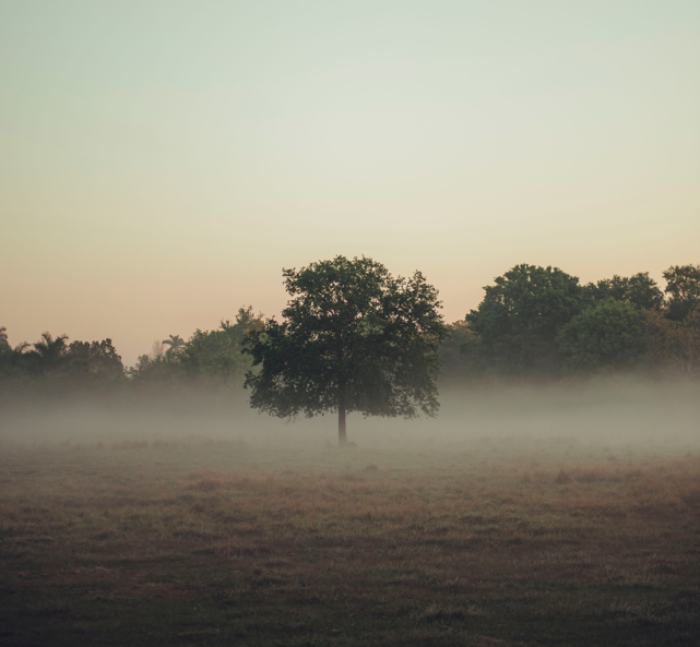 Brain fog and the menopause – why it happens, symptoms and real life experience