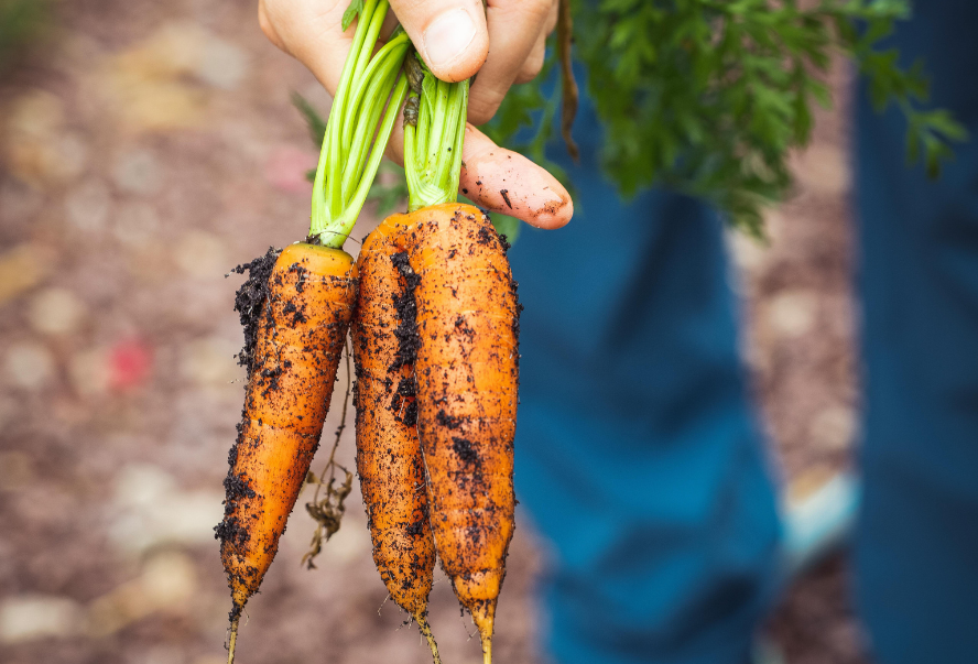 If you buy anything organic, make sure it’s these 7 things