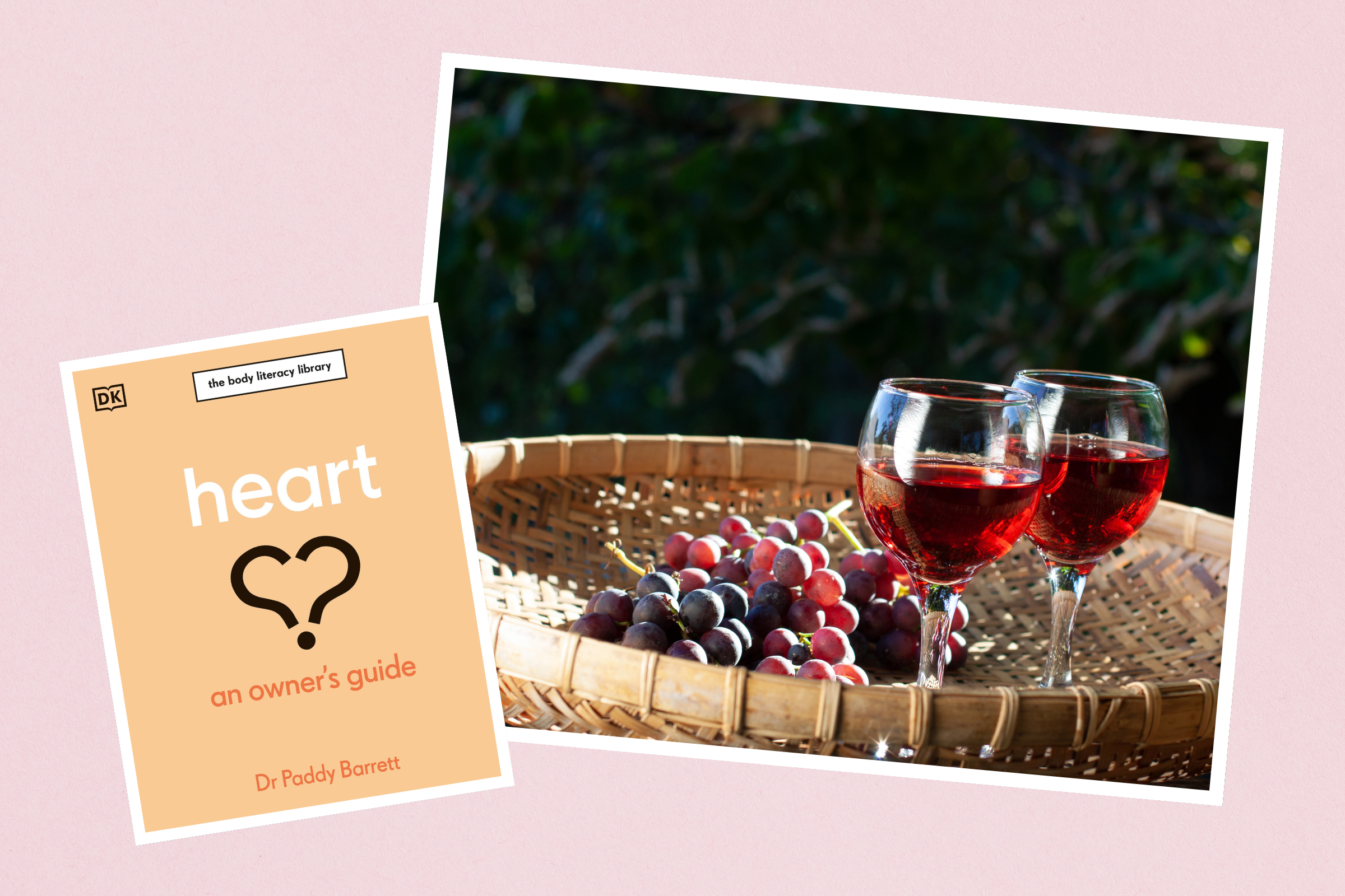 Is red wine really good for our heart?