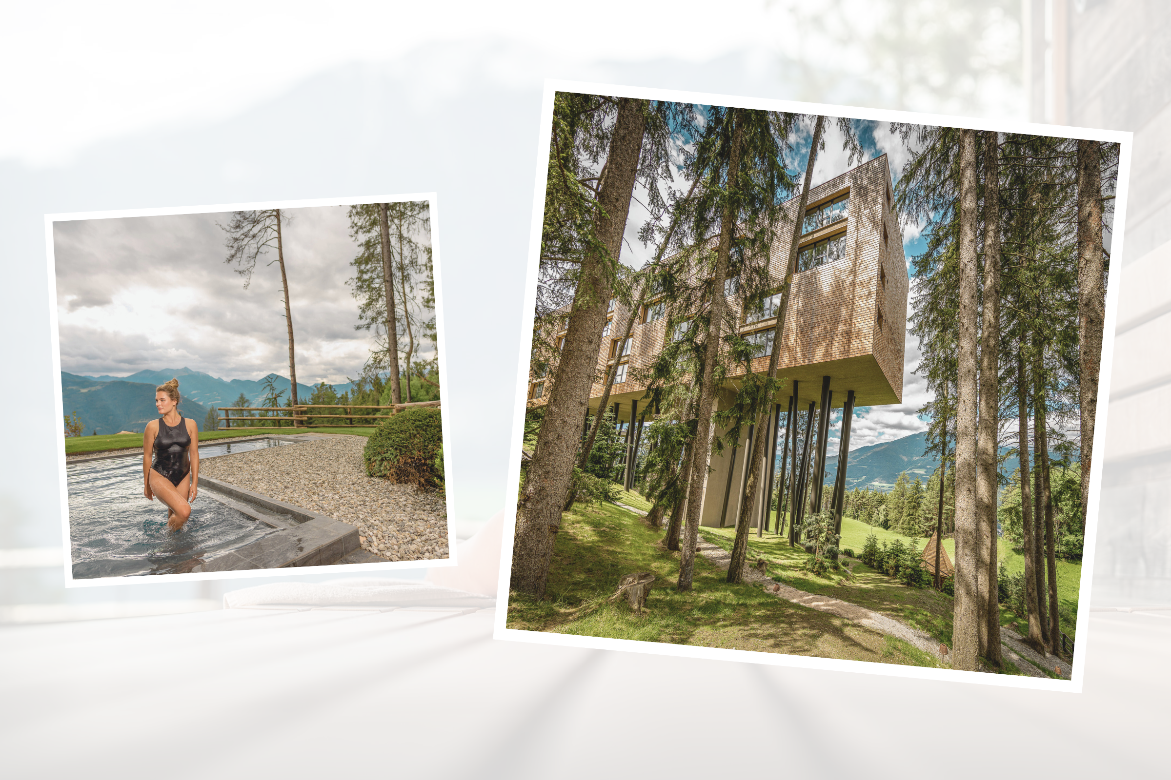 What happened when I visited a ‘tree hotel’ and slept among the treetops