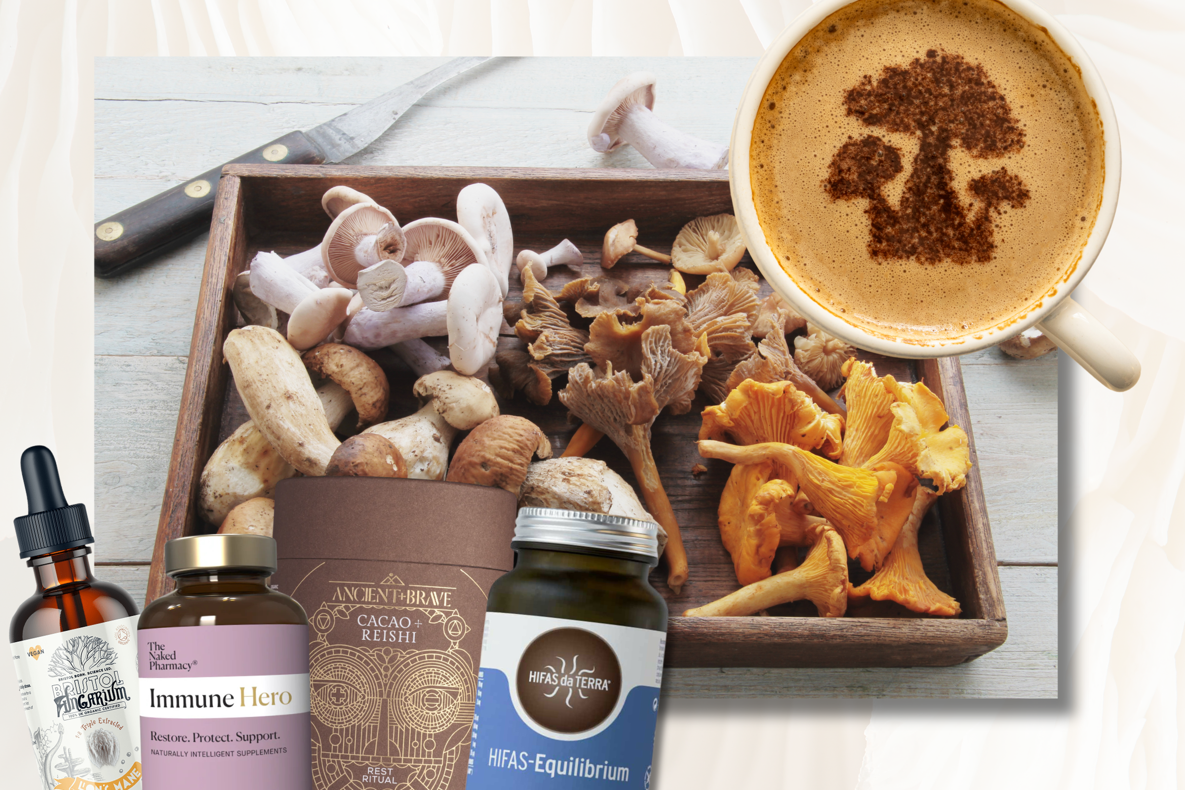 Can medicinal mushrooms transform our health in midlife?