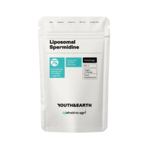 Liposomal Spermidine